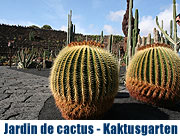 Lanzarote - César Manriques Jardin de Cactus (Kakteengarten) (Foto: MartiN Schmitz)